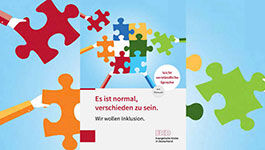 Titelbild der Publikation: Puzzleteile