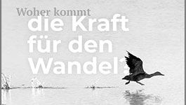 Cover: Woher kommt die Kraft zum Wandeln?