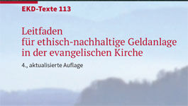 Cover: EKD-Texte 113