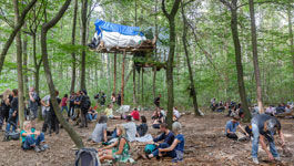 Demonstranten im Hambacher Wald unter einem Baumhaus