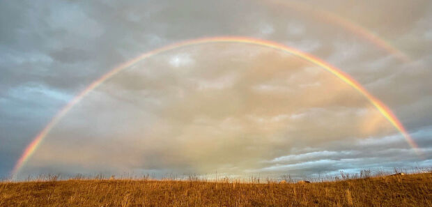 Symobolbild Schwangerschaftsabbruch: Regenbogen über Feld