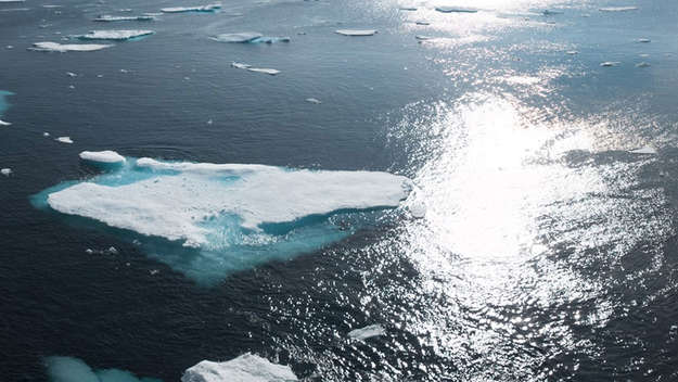 Eisschollen im Ozean