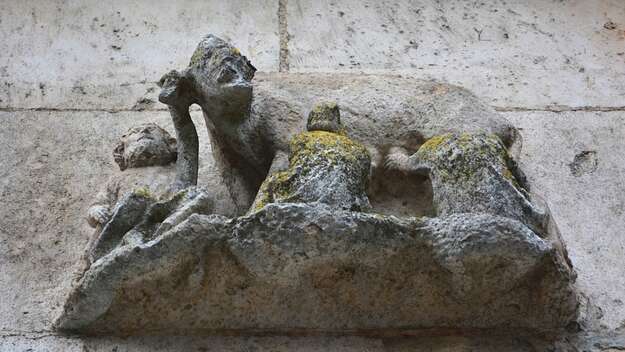 Mittelalterliches Relief am Regensburger Dom zeigt eine Sau, an deren Zitzen Menschen gesäugt werden, die Juden darstellen sollen.