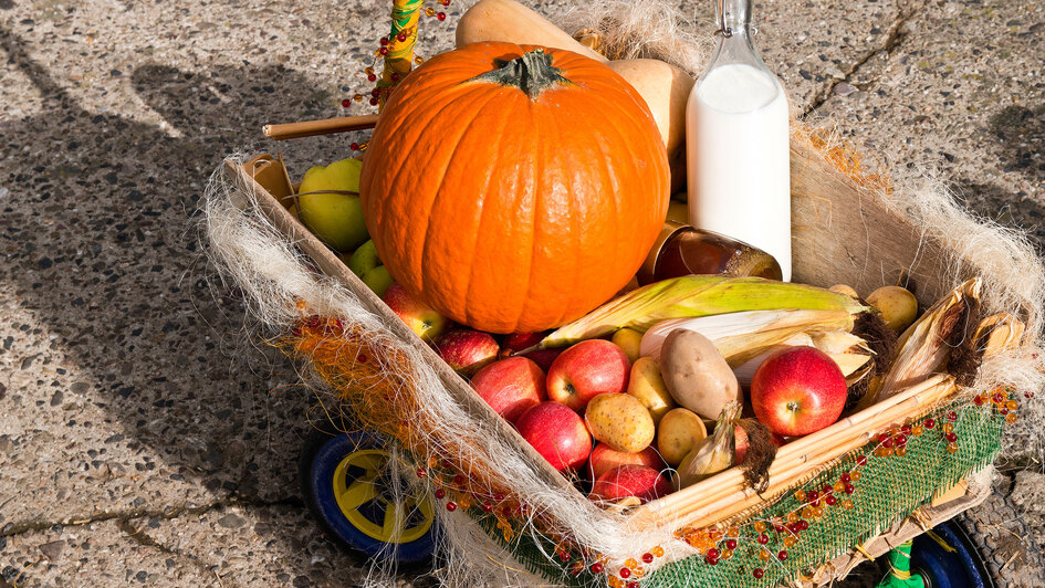 Wagen  geschmückt mit Feldfrüchten zum Erntedankfest