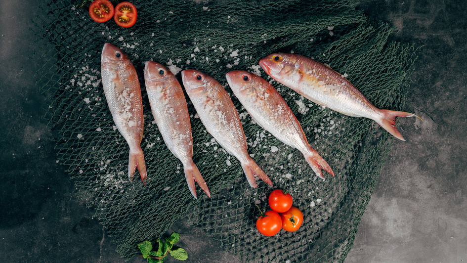 Fische auf einem Fischernetz