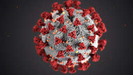 Symbolbild: Coronavirus